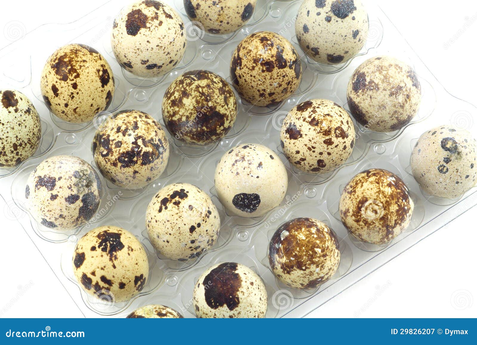 Many Quail Eggs in Plastic Package Closeup Stock Image Image of
