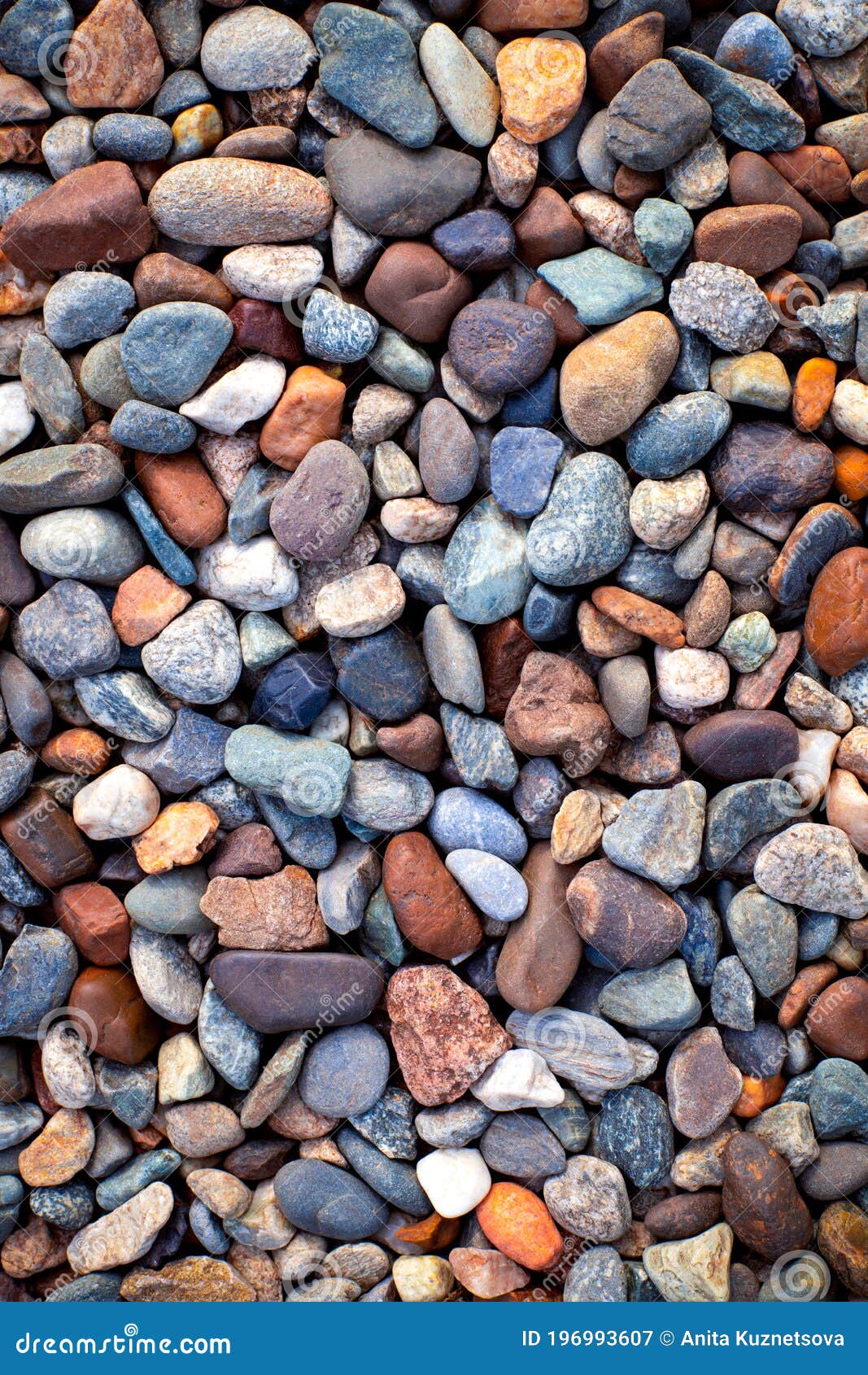 Many Multicolor River Pebbles Close Up. Stock Image - Image of colorful,  bank: 196993607