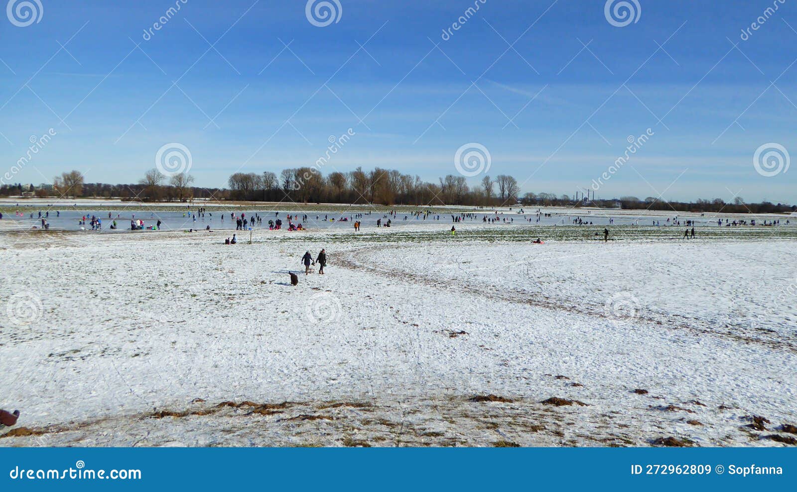 Many People Skate on the Frozen Rhine Meadows in the Uedesheimer