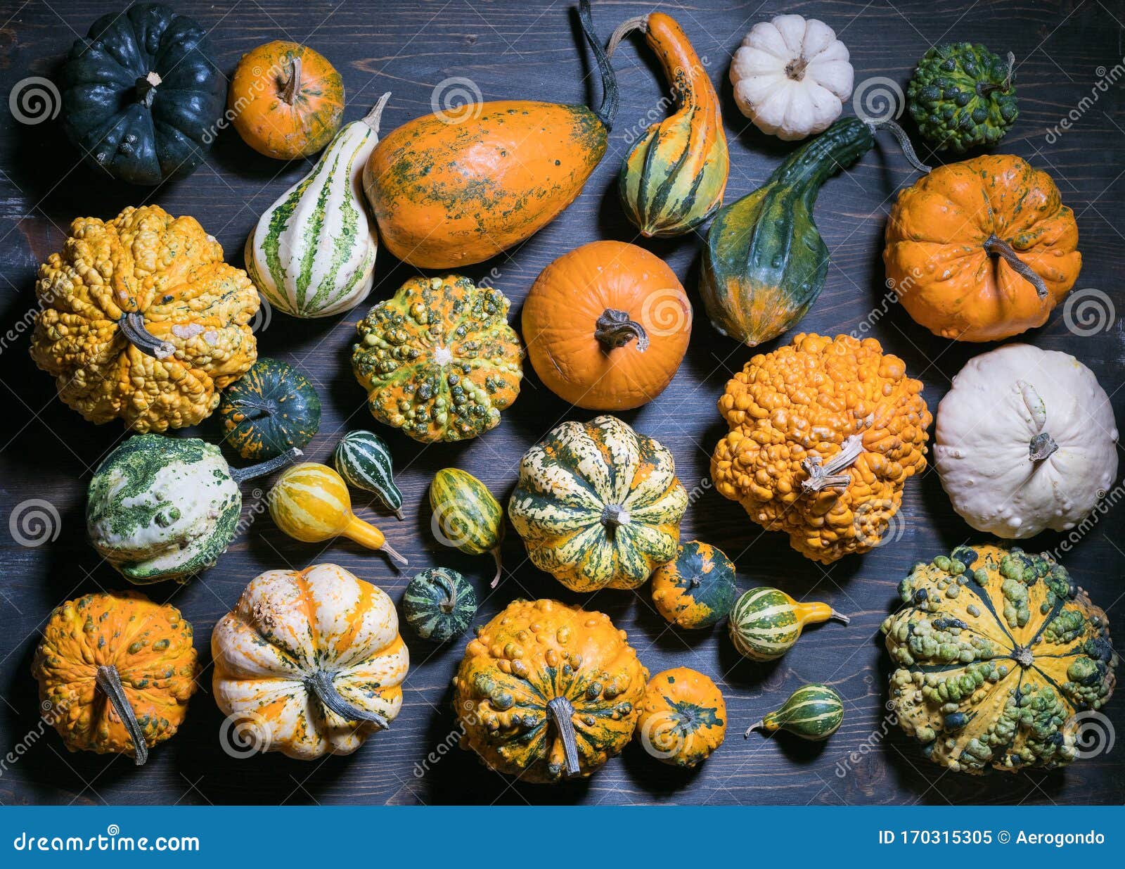 Many Types of Pumpkin and Squash Stock Image - Image of dark, closeup ...
