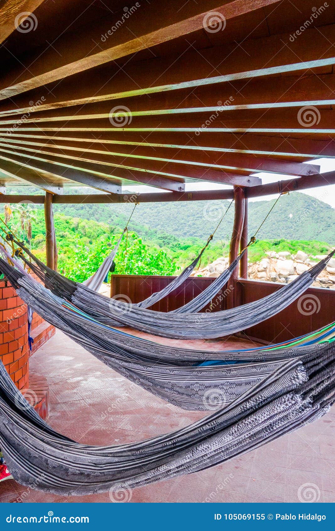 many relaxing hammocks under a bungalow, with a blurred nature background in tairona national park, colombia