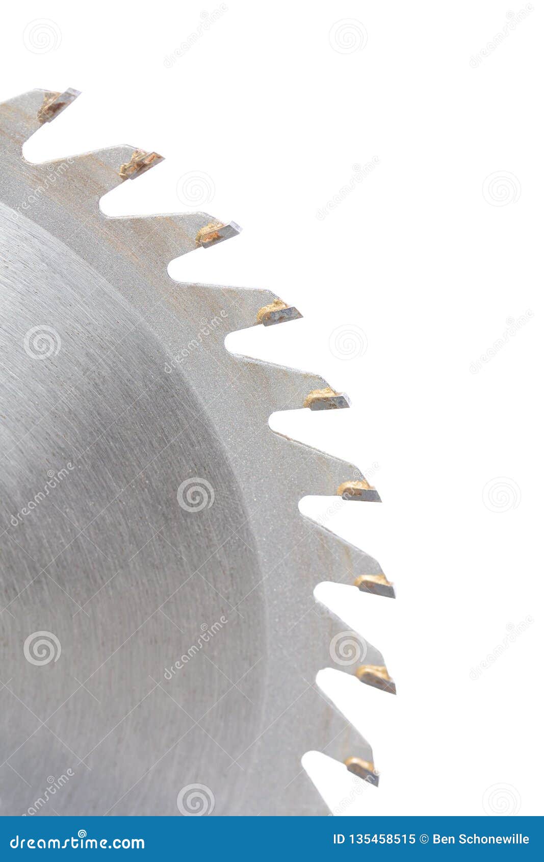 Many Saw Teeth of Circular Saw on White Background Stock Image Image