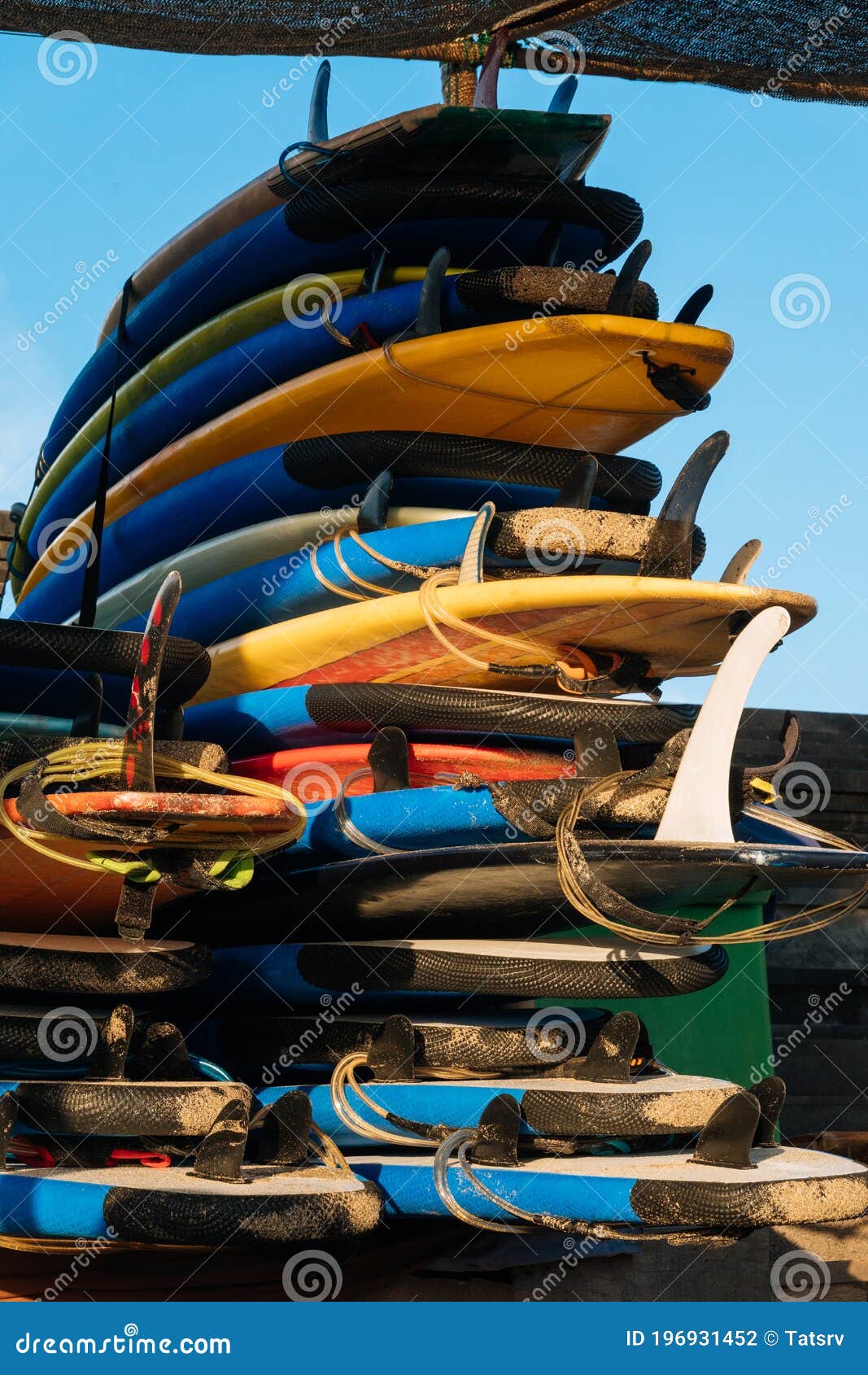 Many Single Fin Surfing Longboard with Surf Leash Ready for Rent. Set