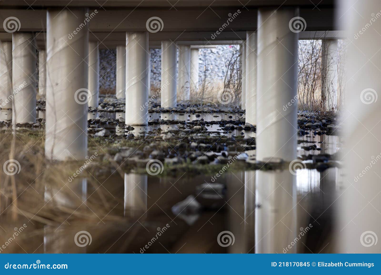 many tall concrete columns reflected underneath an overpass water flow nature conservancy