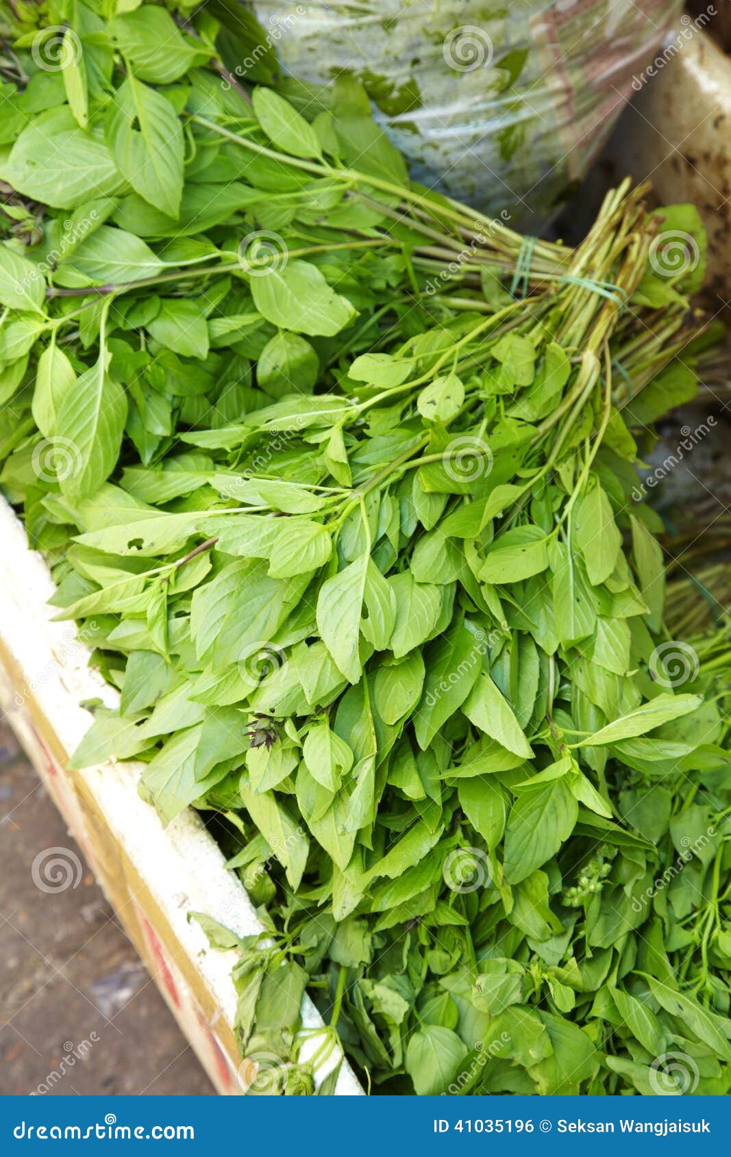 Many thai basil stock photo. Image of groceries, natural 41035196