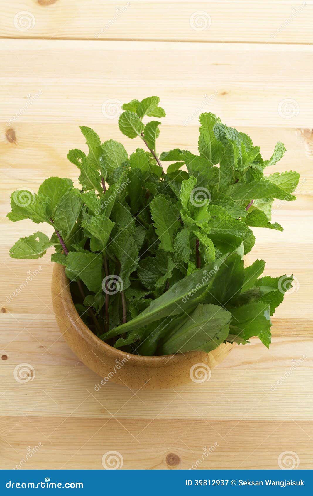 Many thai mint leaf stock image. Image of peppermint 39812937