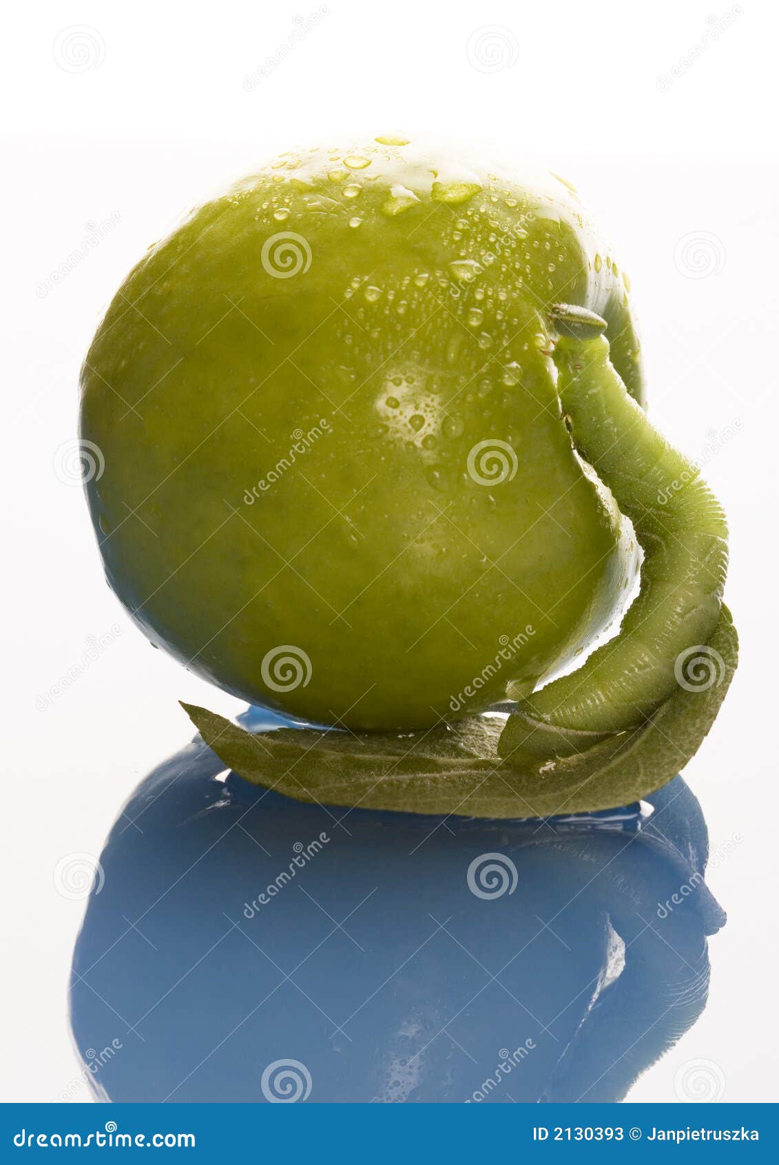 872 Gusano En Manzana Verde Fotos de stock - Fotos libres de regalías de  Dreamstime, image size:1131x1690