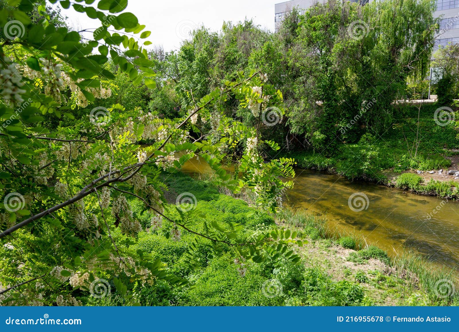 The Manzanares River Passing through the Parks of Madrid, in Spain ...