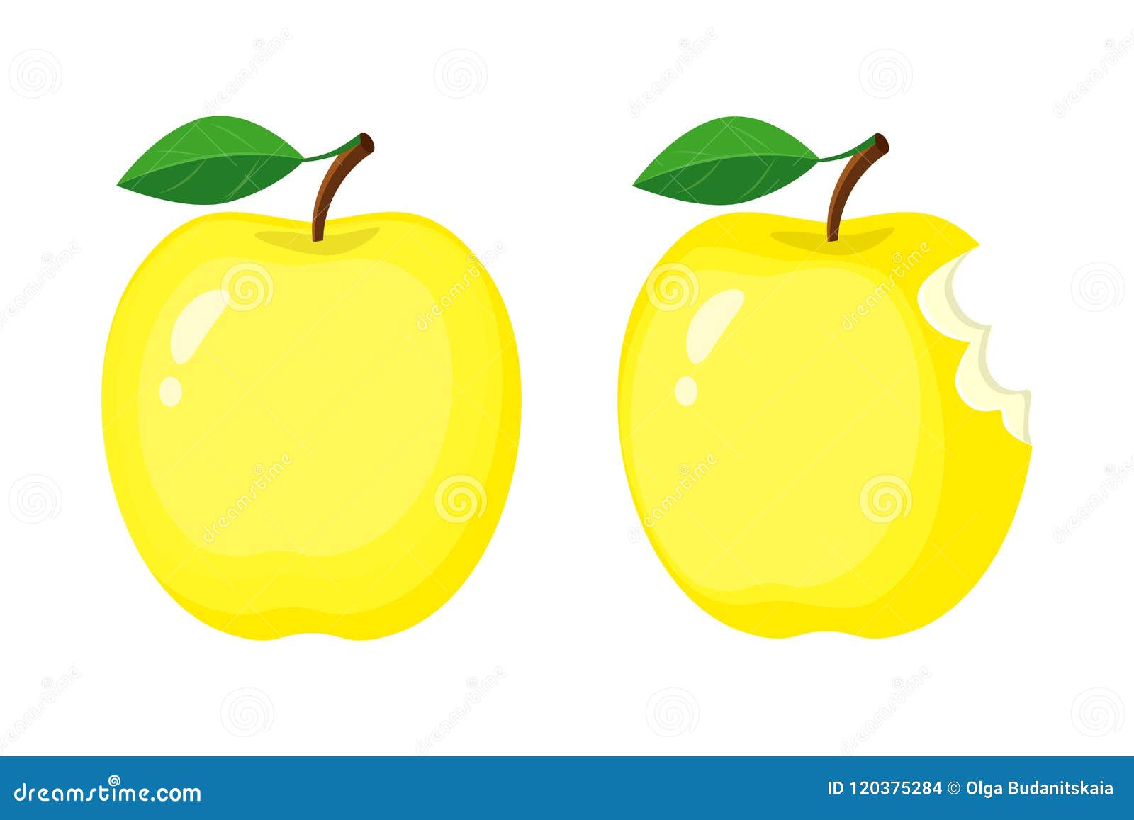 Manzanas Amarillas Enteras Y Mordidas Ejemplo Del Vector Aislado Encendido  Ilustración del Vector - Ilustración de aislado, jugoso: 120375284