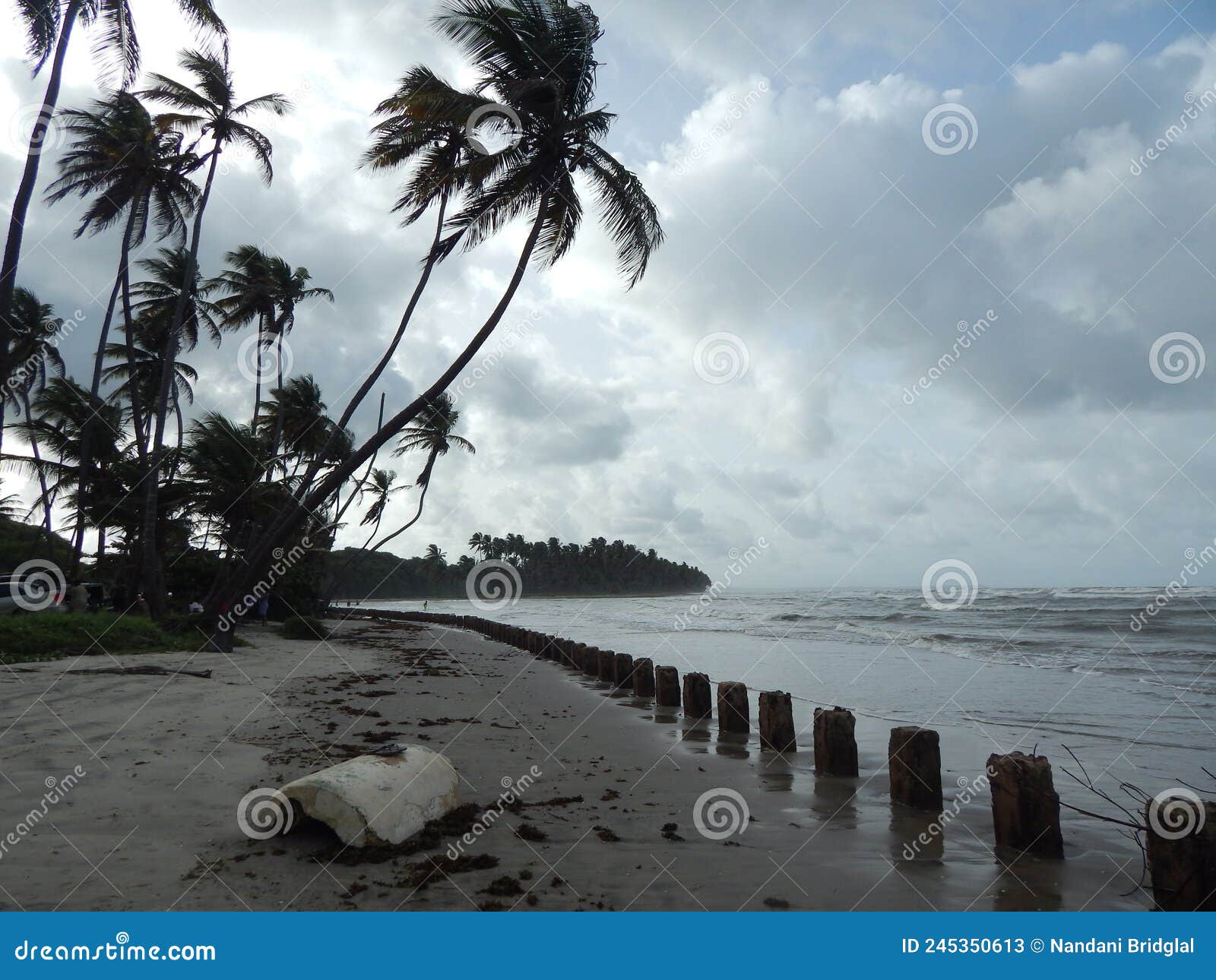 manzanilla beach, trinidad and tobago, west indies