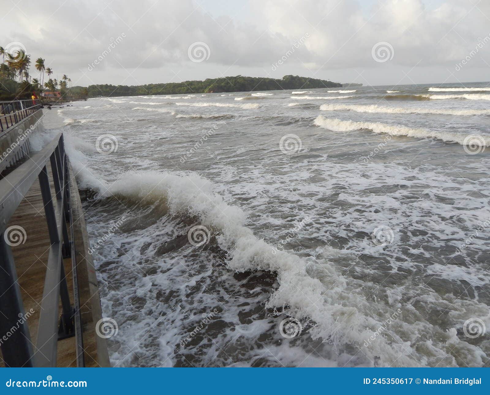 manzanilla beach, trinidad and tobago, west indies