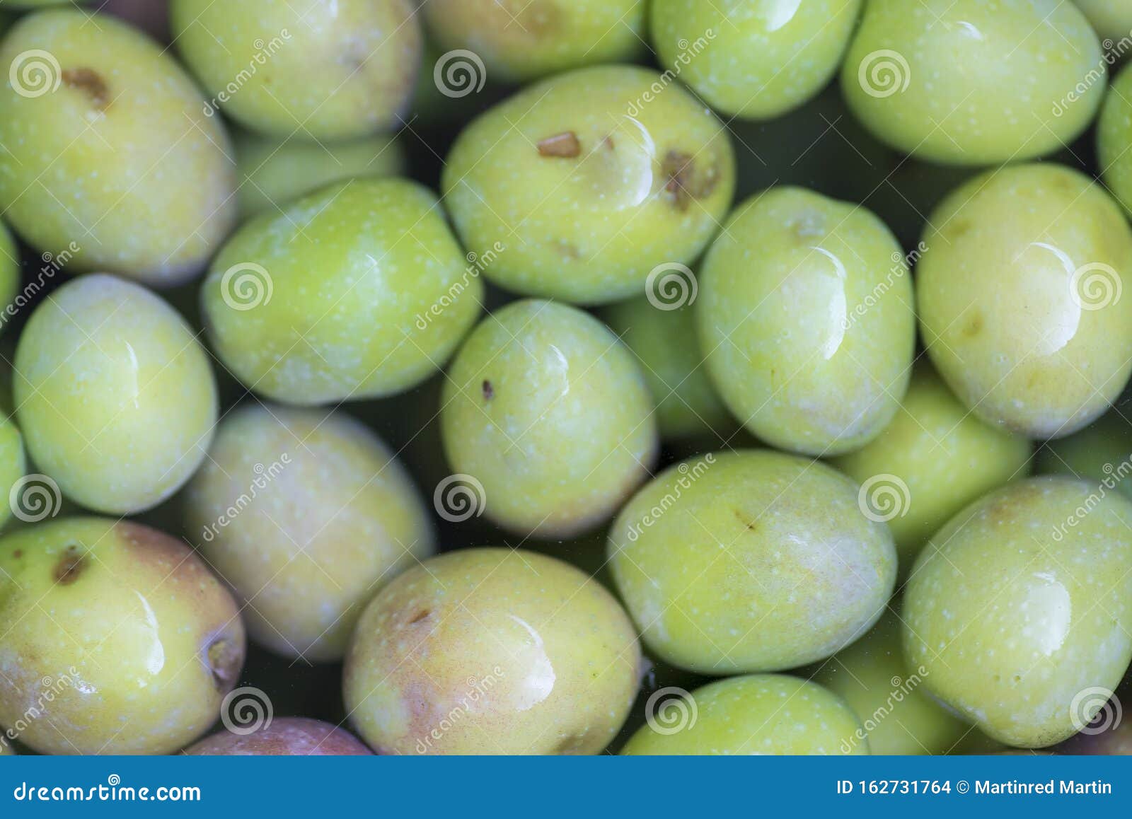 manzanilla cacereÃÂ±a variety olives. olives or olives from extremadura olive trees