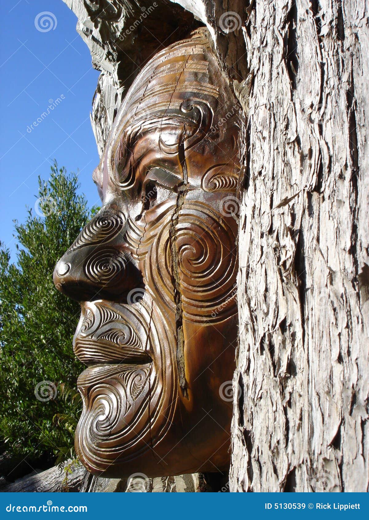 Maori Totem Carving, Marahua Editorial Stock Image Image of abel