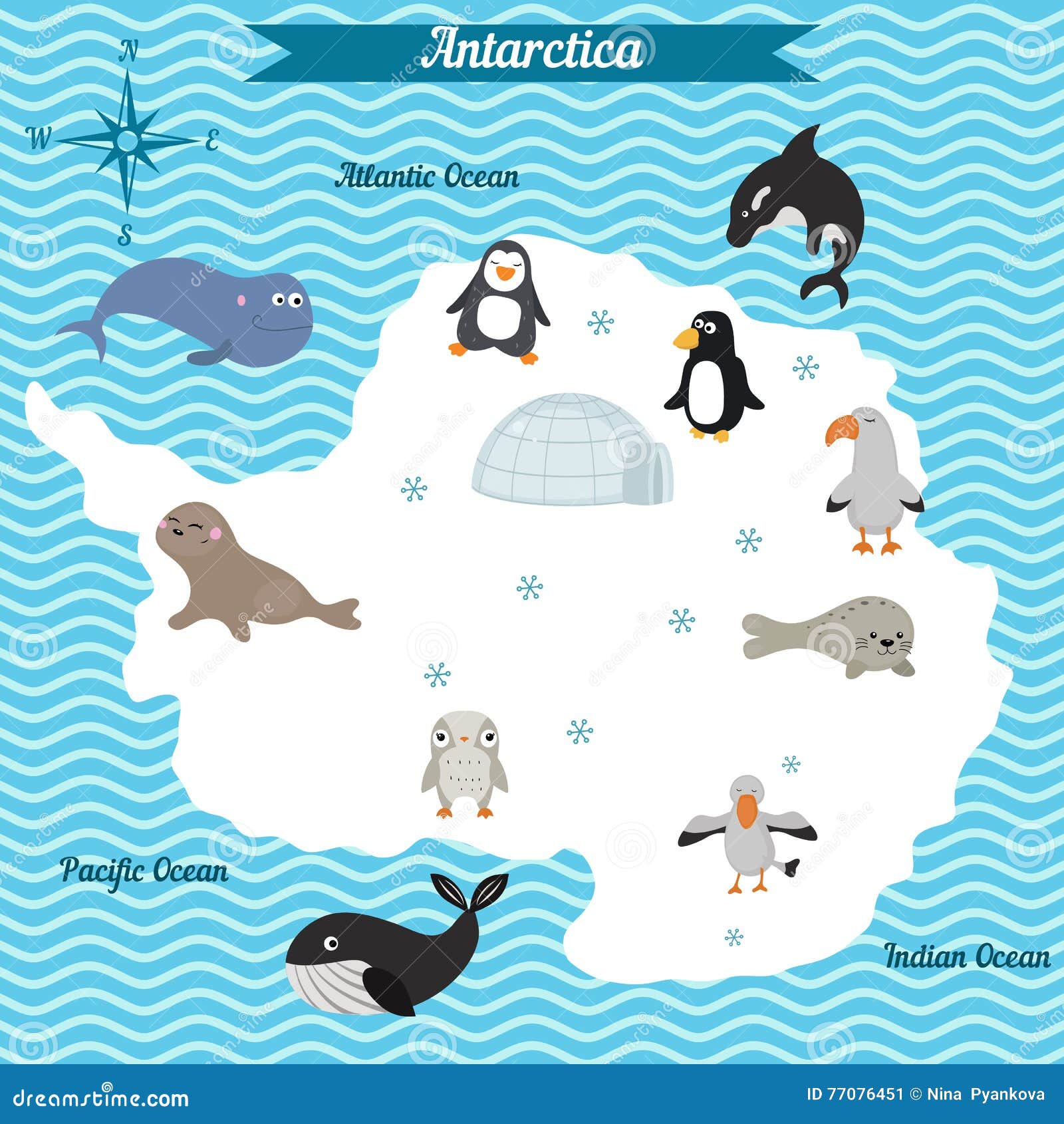 Resultado de imagem para animais da antÃ¡rtica