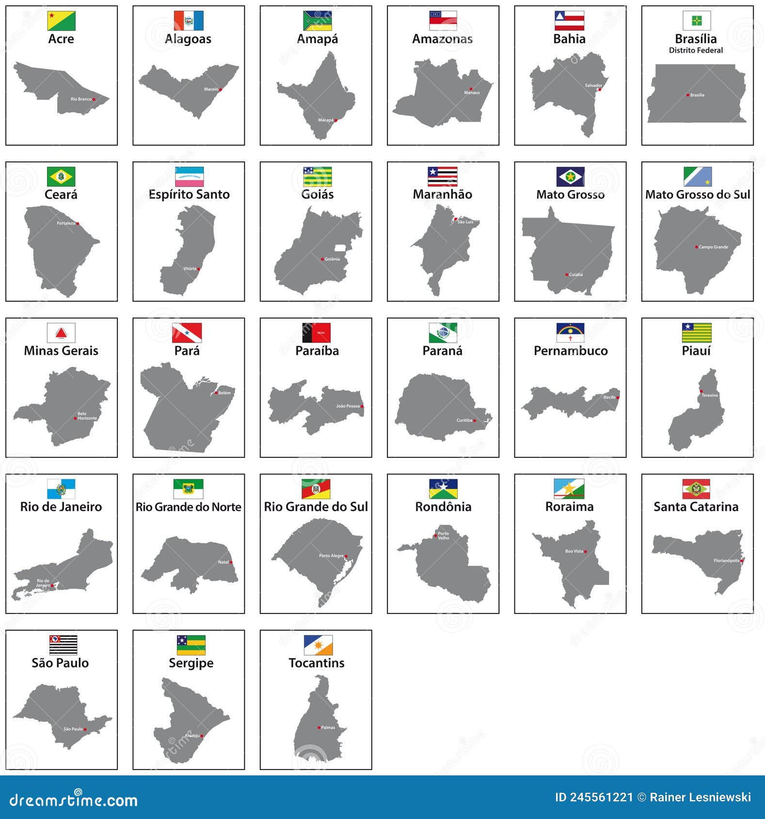 Mapas Vetoriais Com Bandeiras Dos 27 Estados Do Brasil Ilustração do Vetor  - Ilustração de arte, beira: 245561221