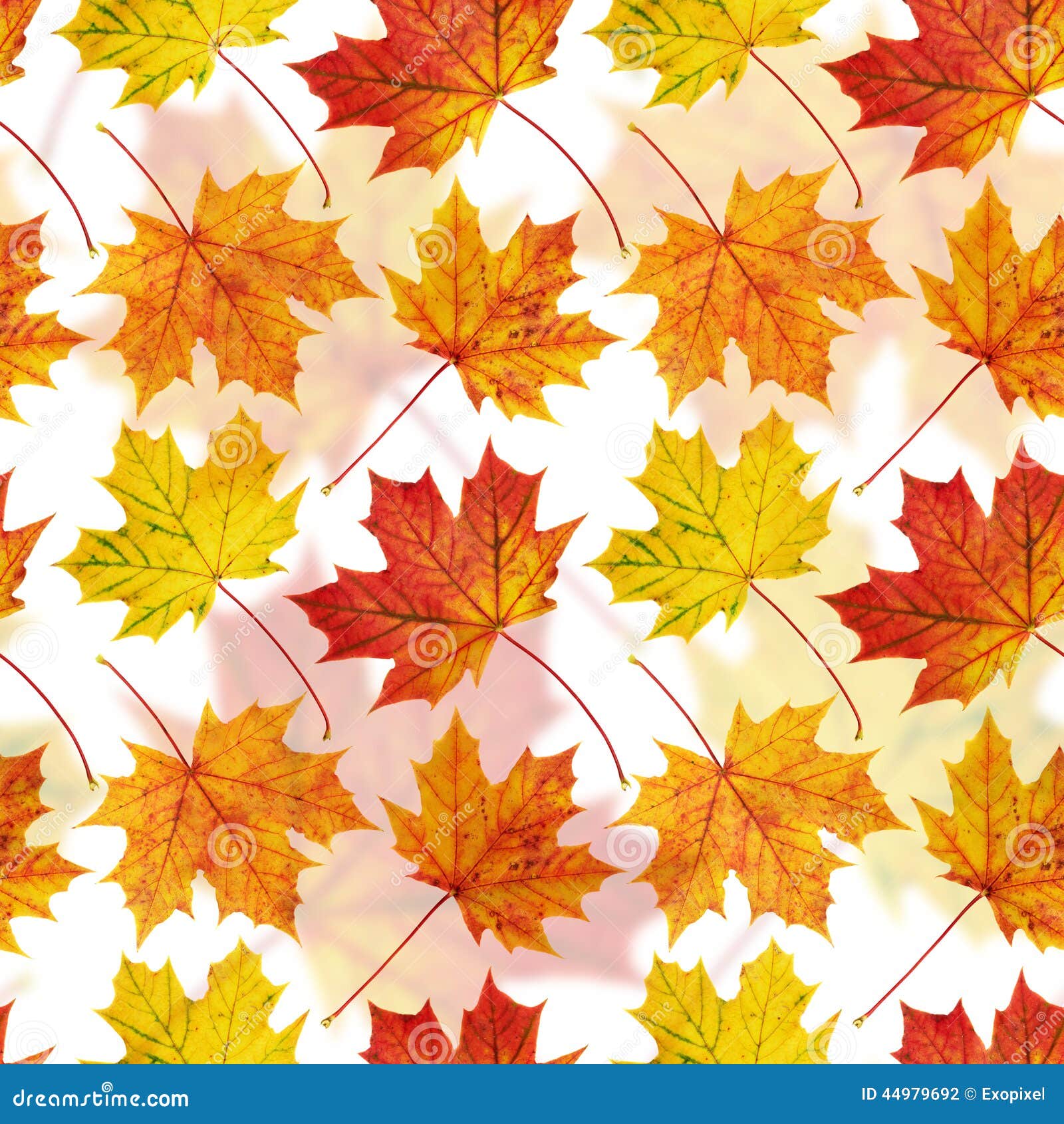 Maple-leaf Seamless Background Stock Photo - Image of beauty, autumn ...
