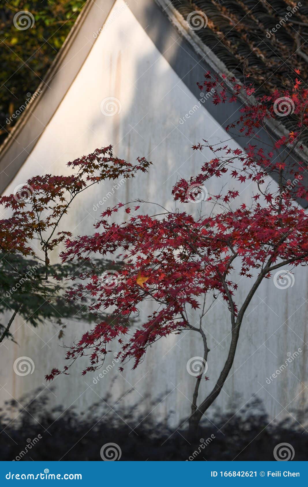 maple leaves and chinese ancient architectural