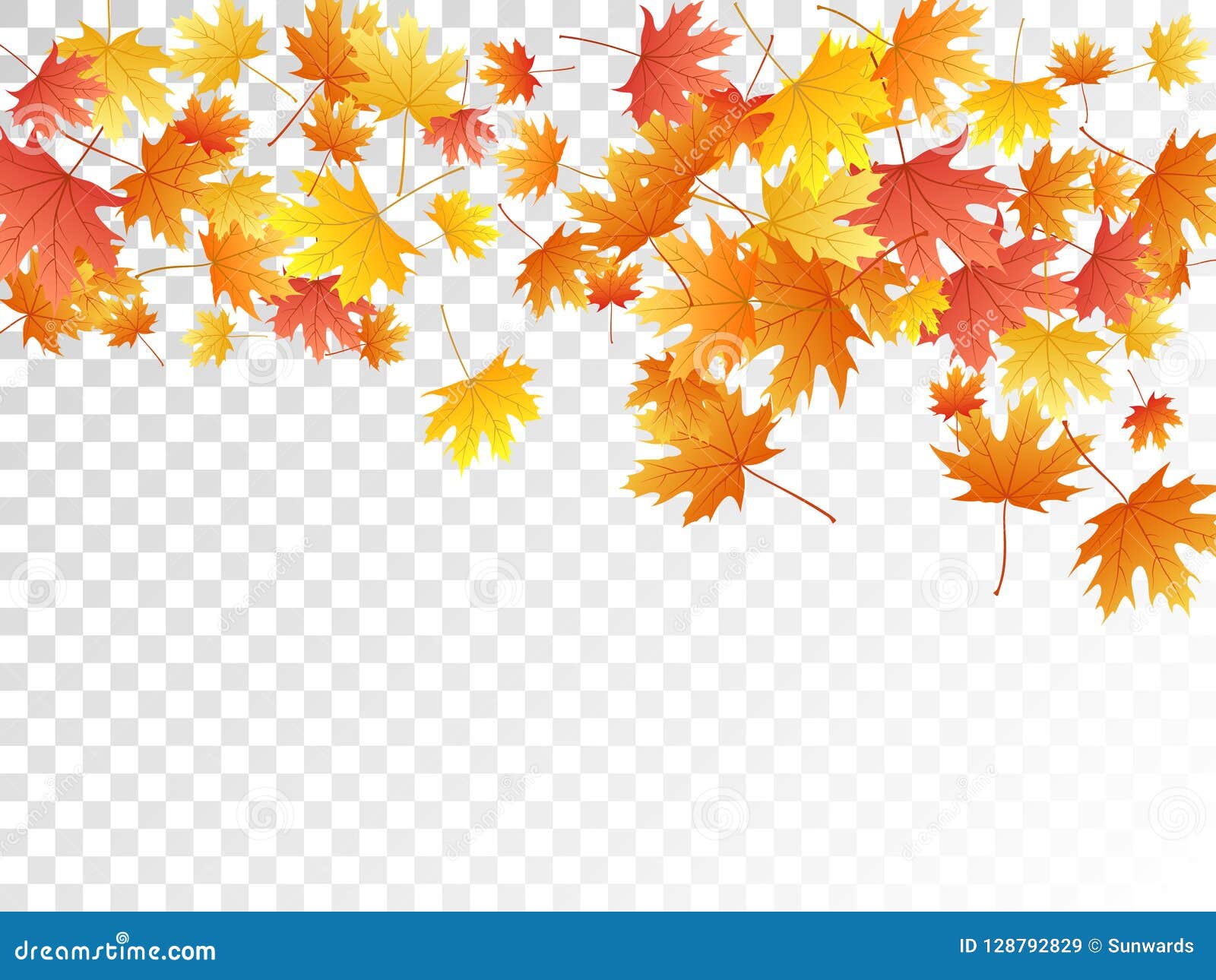 Maple Leaves Vector Illustration, Autumn Foliage on Transparent Background.  Stock Vector - Illustration of flora, garden: 128792829