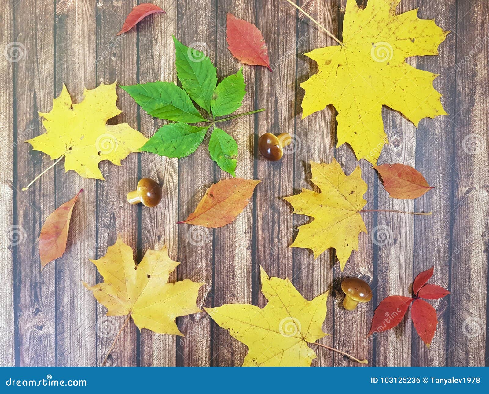 maple leaves on a wooden board