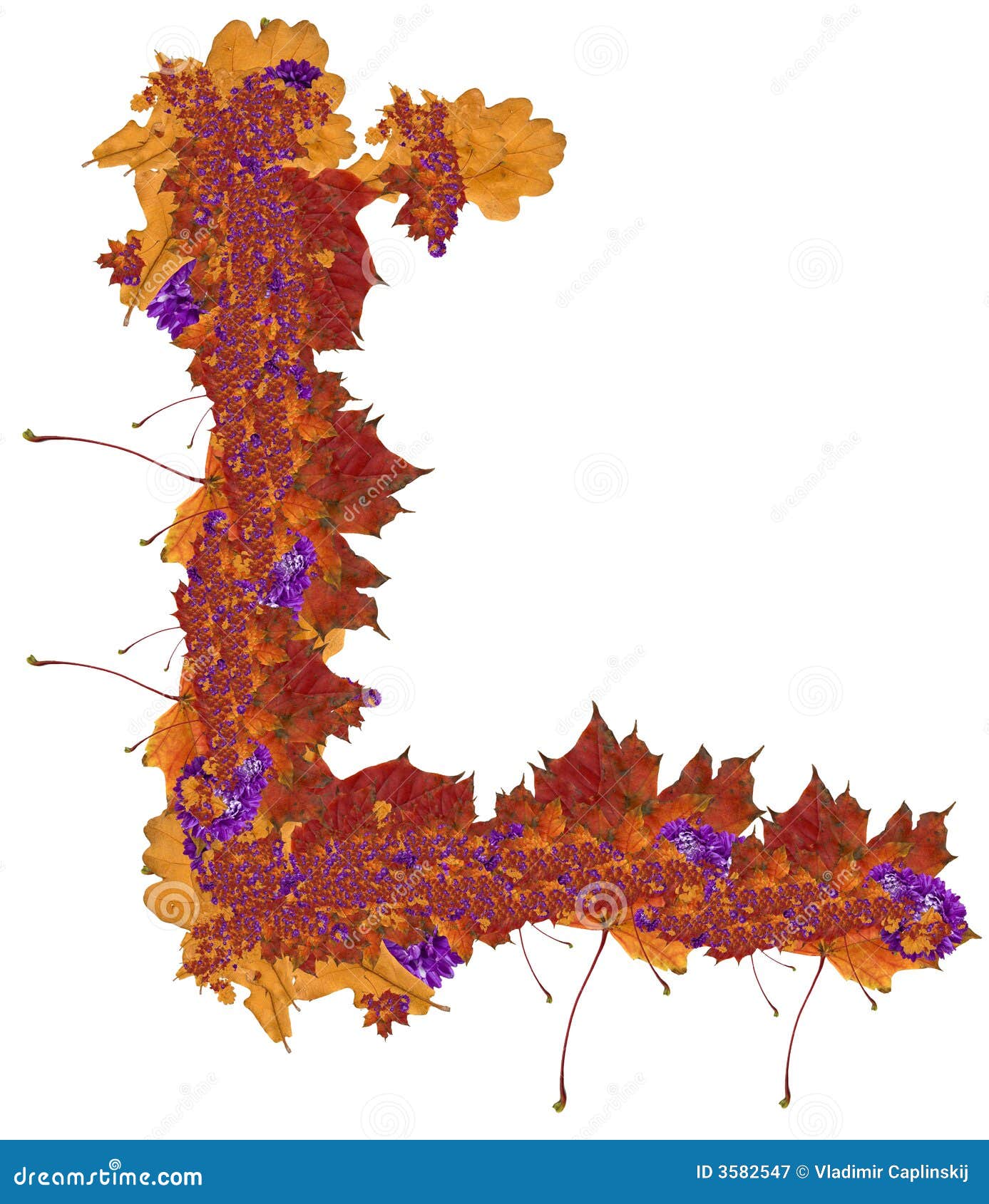 Mapleoak frame stock image. Image of leaves, christmas 3582547