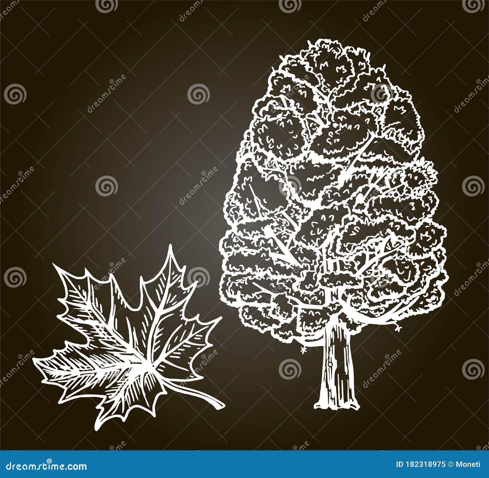 Ink Sketch Of Maple Leaf Stock Illustration - Download Image Now - Maple  Leaf, Vector, Sketch - iStock