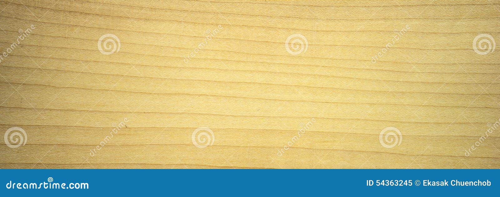 Maple veneer stock image. Image of yellow, veneer, texture 54363245