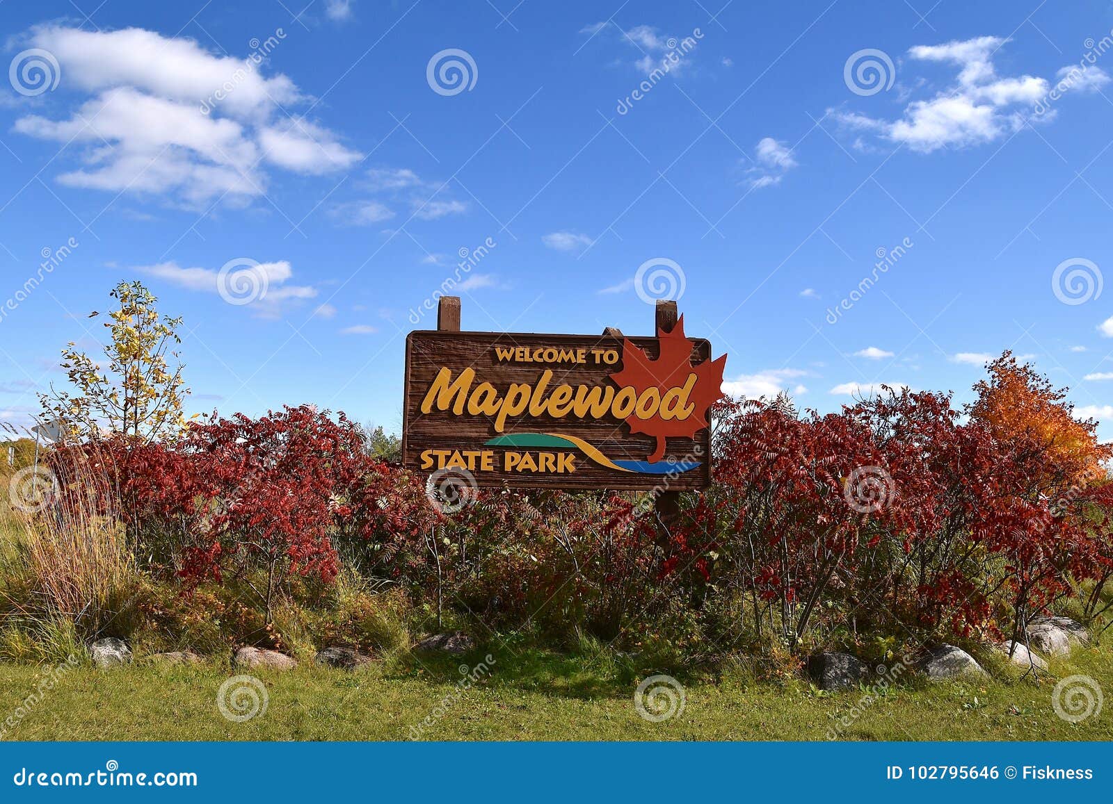 Maplewood State Park in Minnesota Editorial Photo Image of state