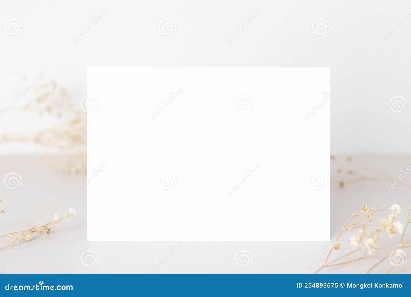 Maquillaje De Tarjetas De Felicitación Con Hojas Secas Y Tarjetas De Boda De Sucursal Maquillaje De Tarjetas De Cumpleaños Para Di Imagen de archivo - Imagen de copia, mofa: 254893675 Maquillaje De Tarjetas De Felicitación Con Hojas Secas Y Tarjetas De Boda De Sucursal Maquillaje De Tarjetas De Cumpleaños Para Di Imagen de archivo - Imagen de copia, mofa: 254893675