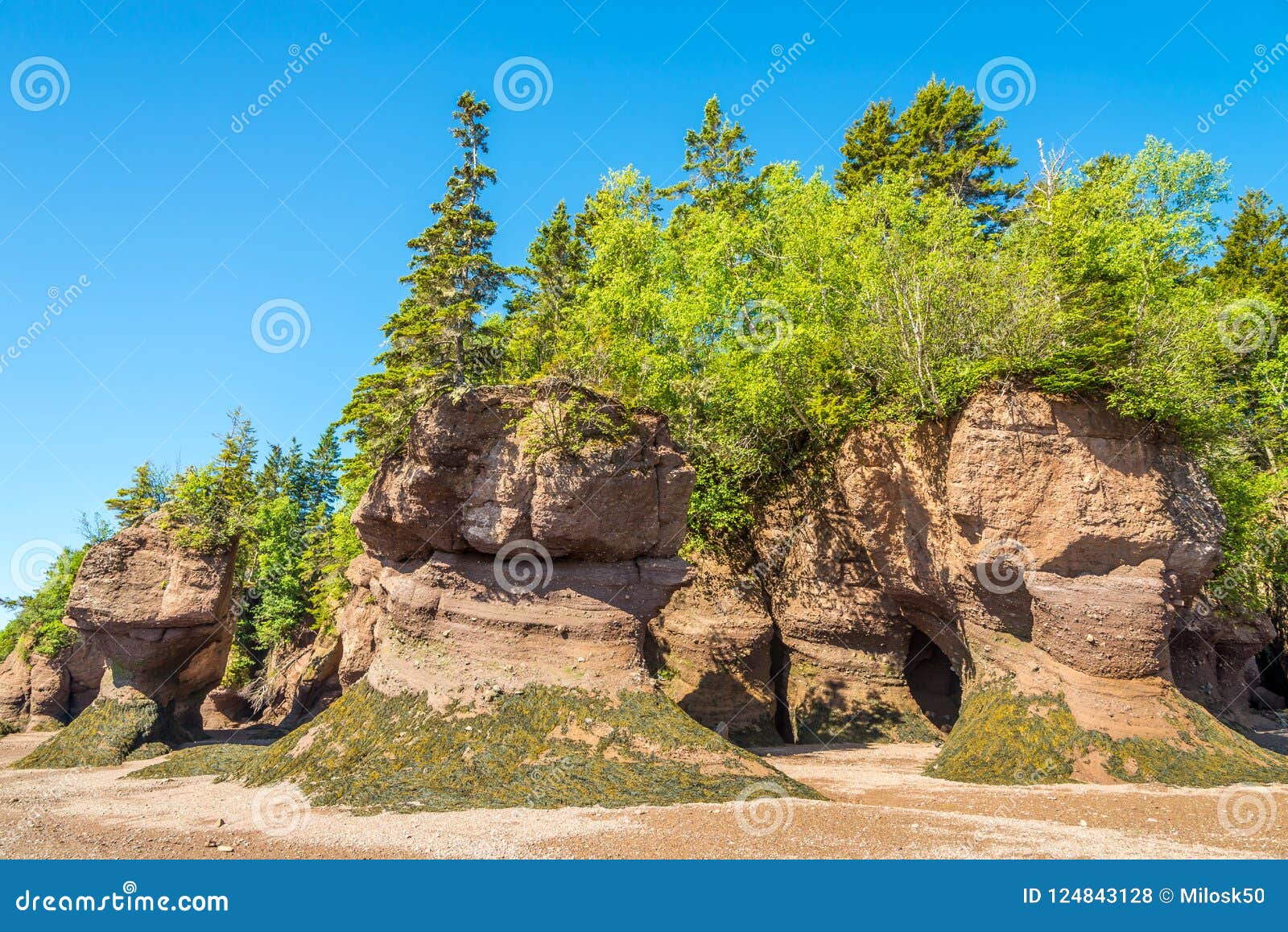 Maré Baixa Na Baía De Fundy Com Formações De Rocha Fascinantes - Canadá  Foto de Stock - Imagem de maré, paisagem: 124843128