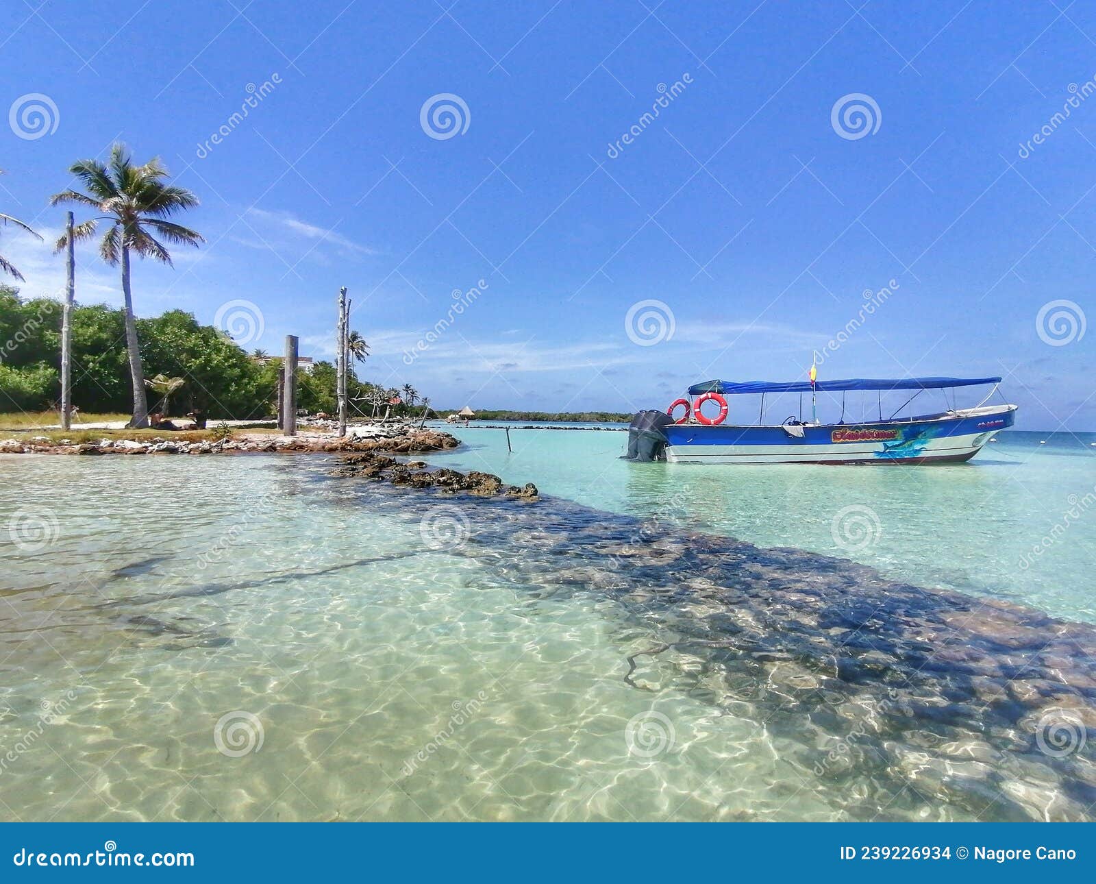 mar transparente en la isla de tintipan. en el caribe colombiano. sucre, colombia.