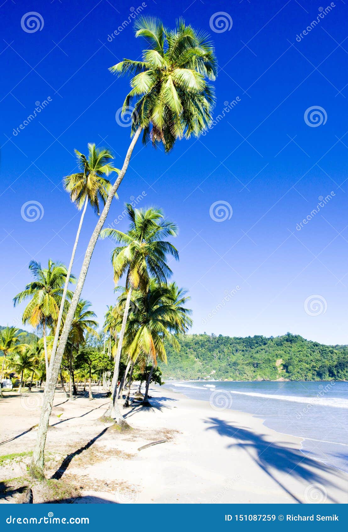 Maracas Bay, Trinidad stock image. Image of coastal 151087259