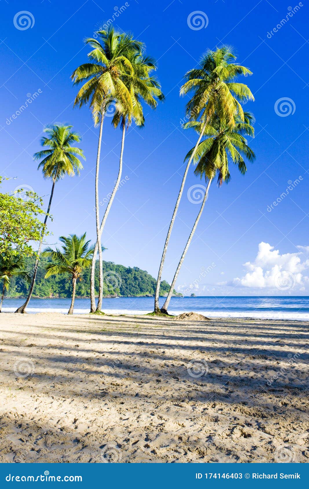 Maracas Bay, Trinidad stock image. Image of nature, coasts 174146403