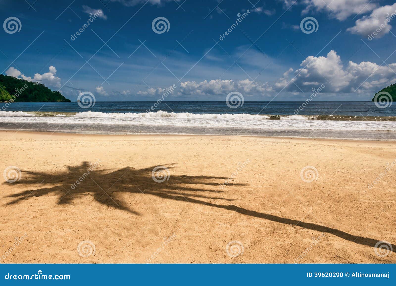 maracas bay trinidad and tobago beach palm tree shadow caribbean