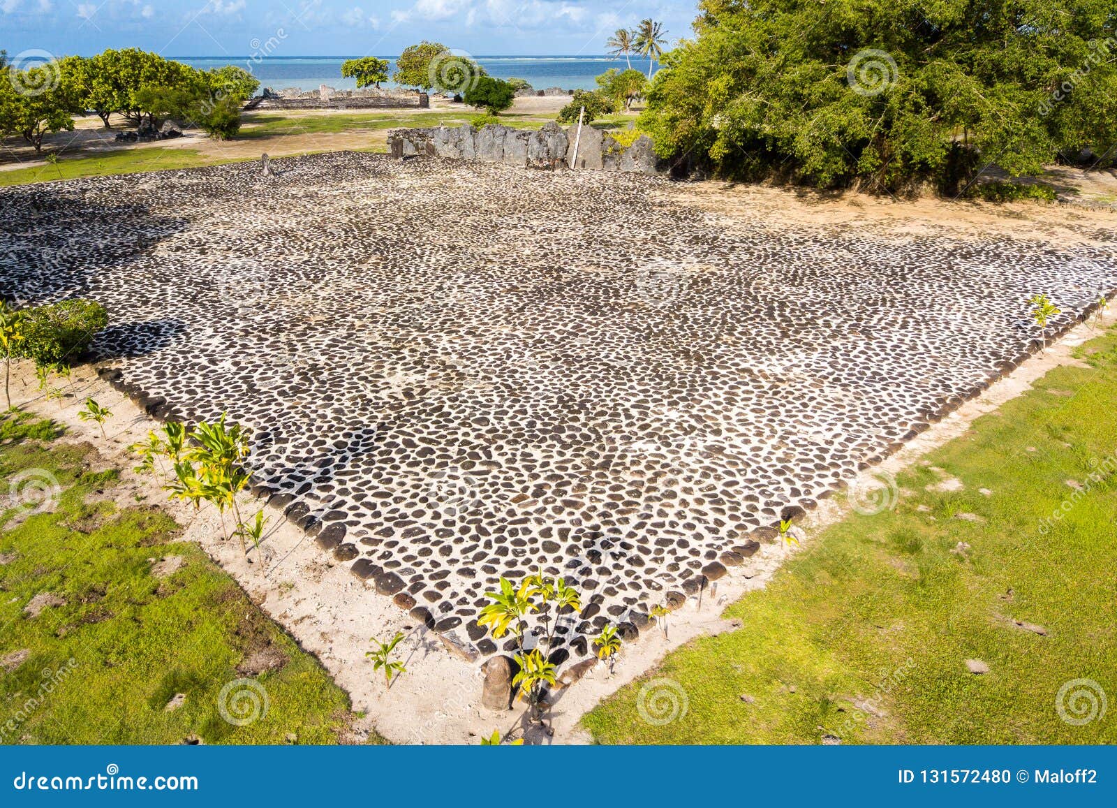 The marae of Taputapuātea (Ra'iatea, Society Islands) in 2016: nature, age  and origin of coral erected stones