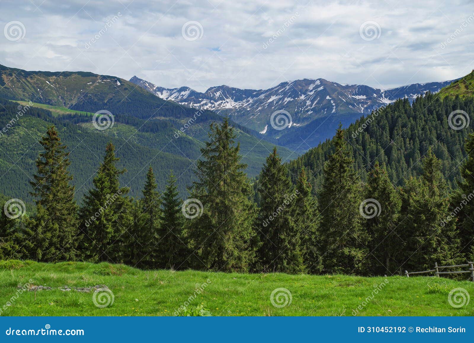 maramures mountains seen from prislop pass, romania, europe