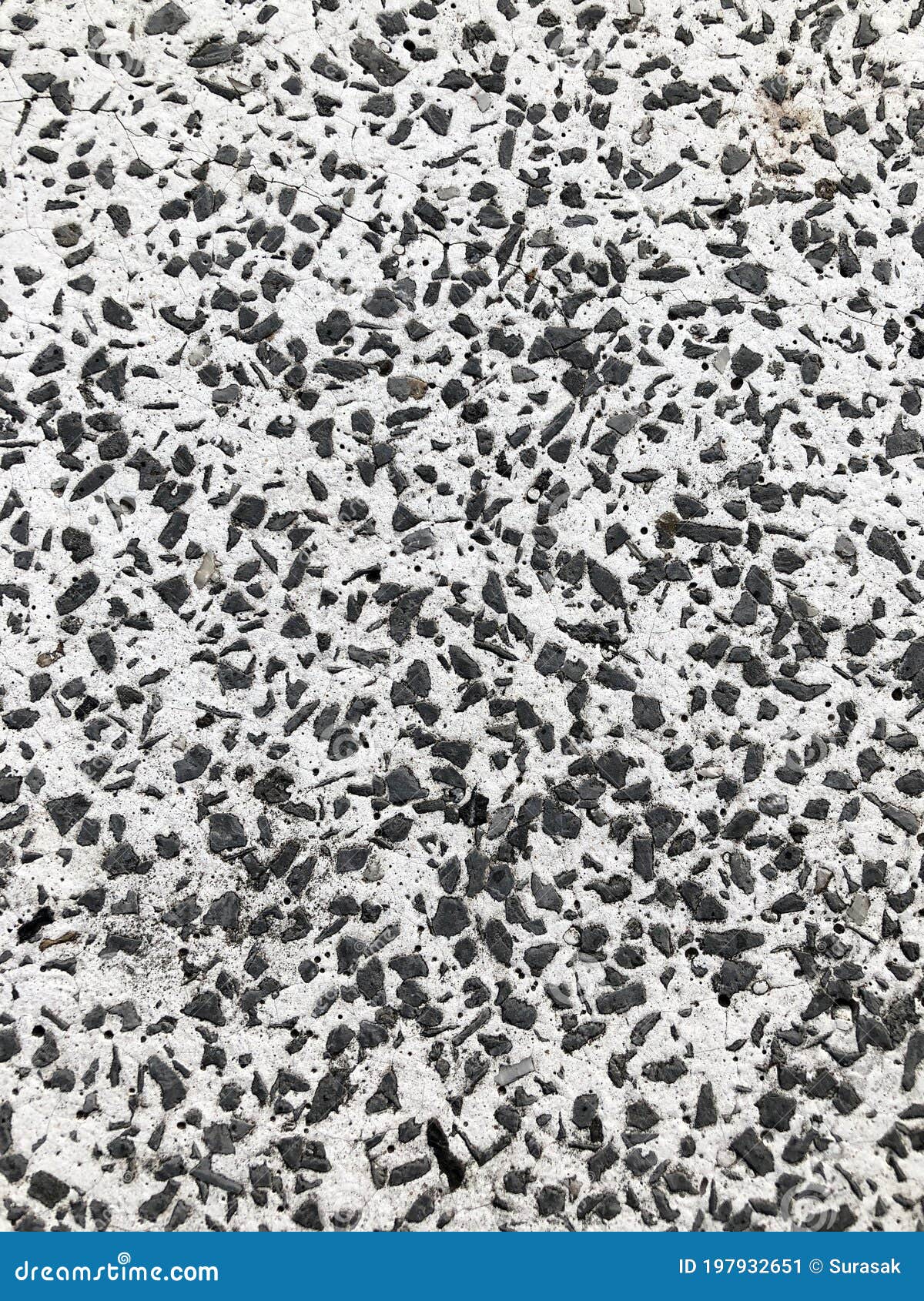 Marble Black Dot Wall or Floor Background and Texture Stock Image
