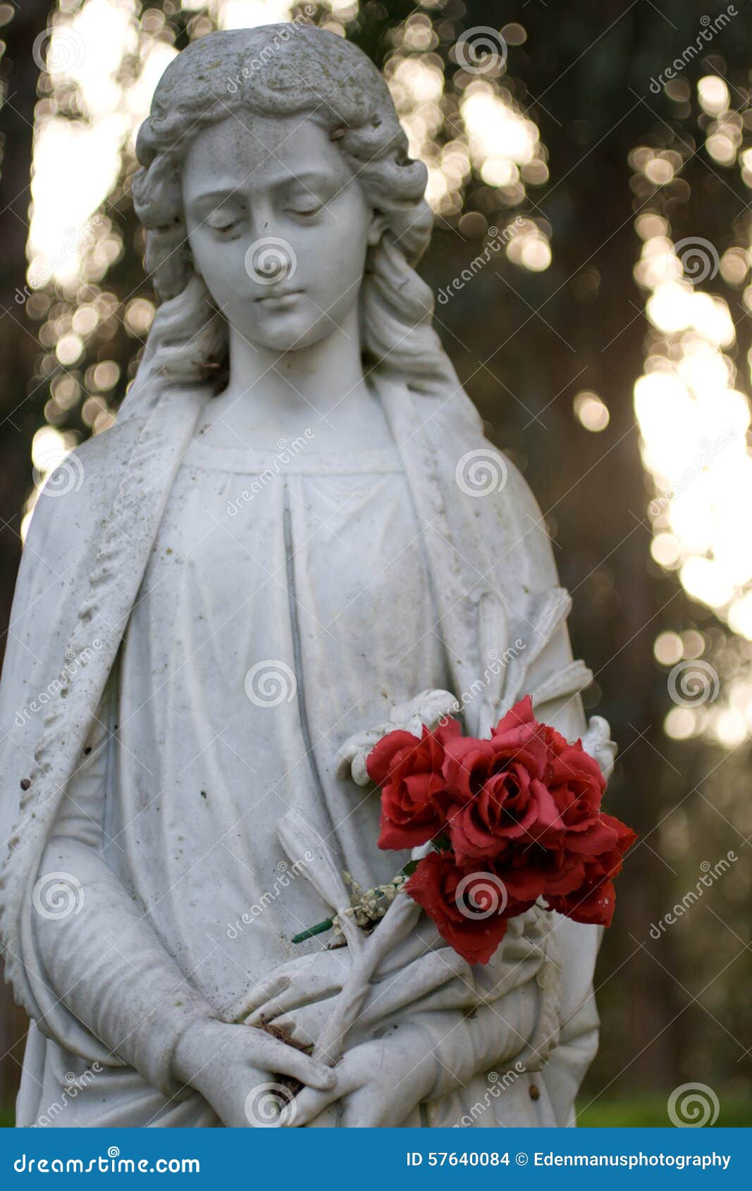 Marble Statue Holding Roses Stock Photo Image of flower, marble 57640084