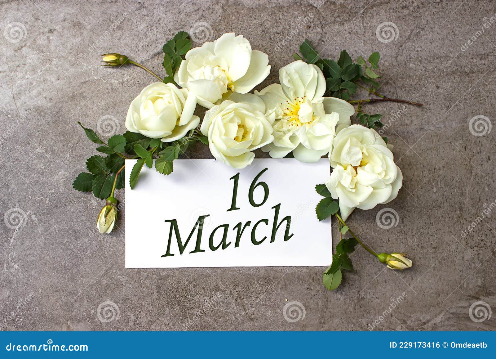 March 16th Day 16 of Month Calendar Date White Roses Border on March 16th Day 16 of Month Calendar Date White Roses Border on