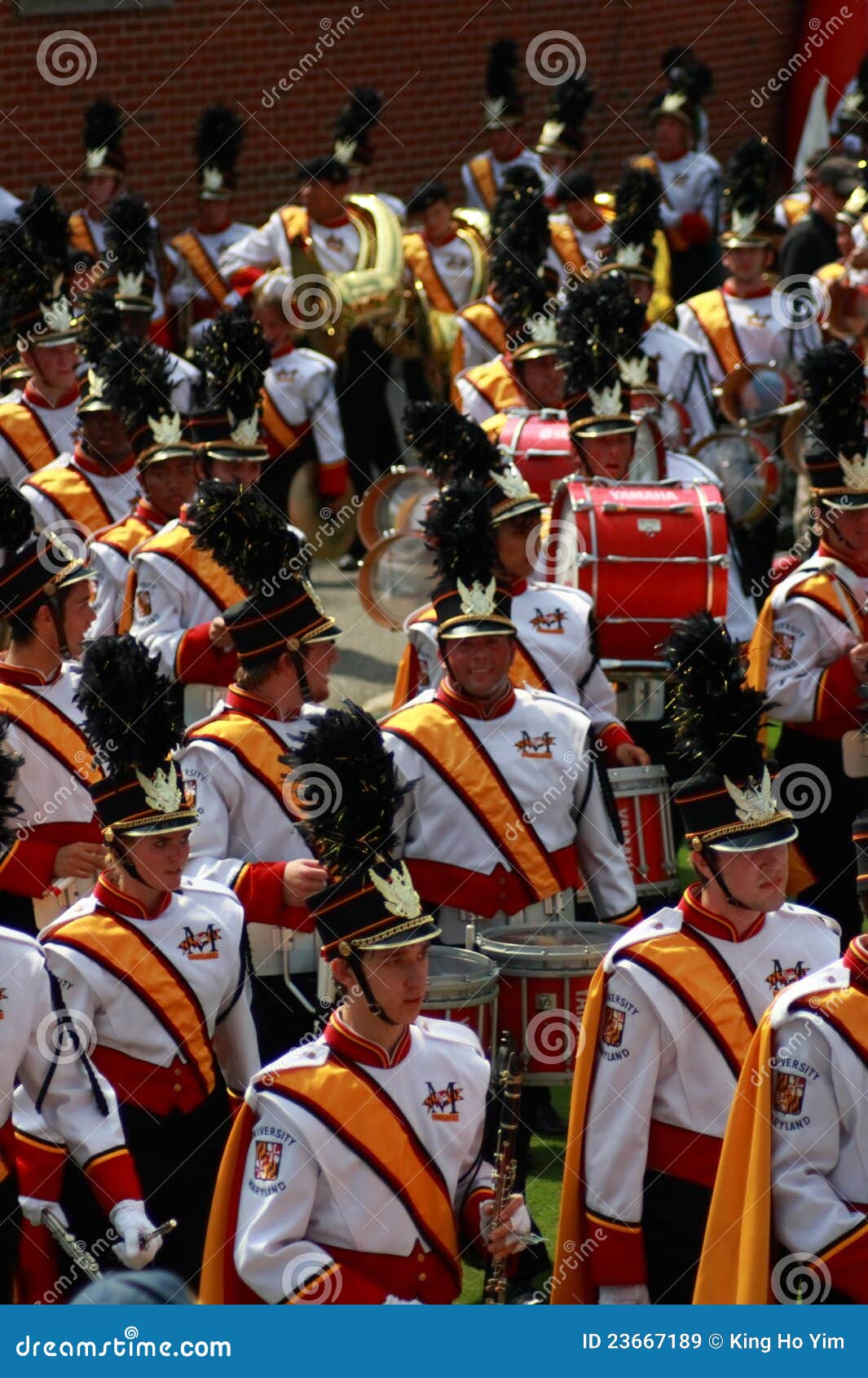 The Marching Bands in American College Football Editorial Stock Image