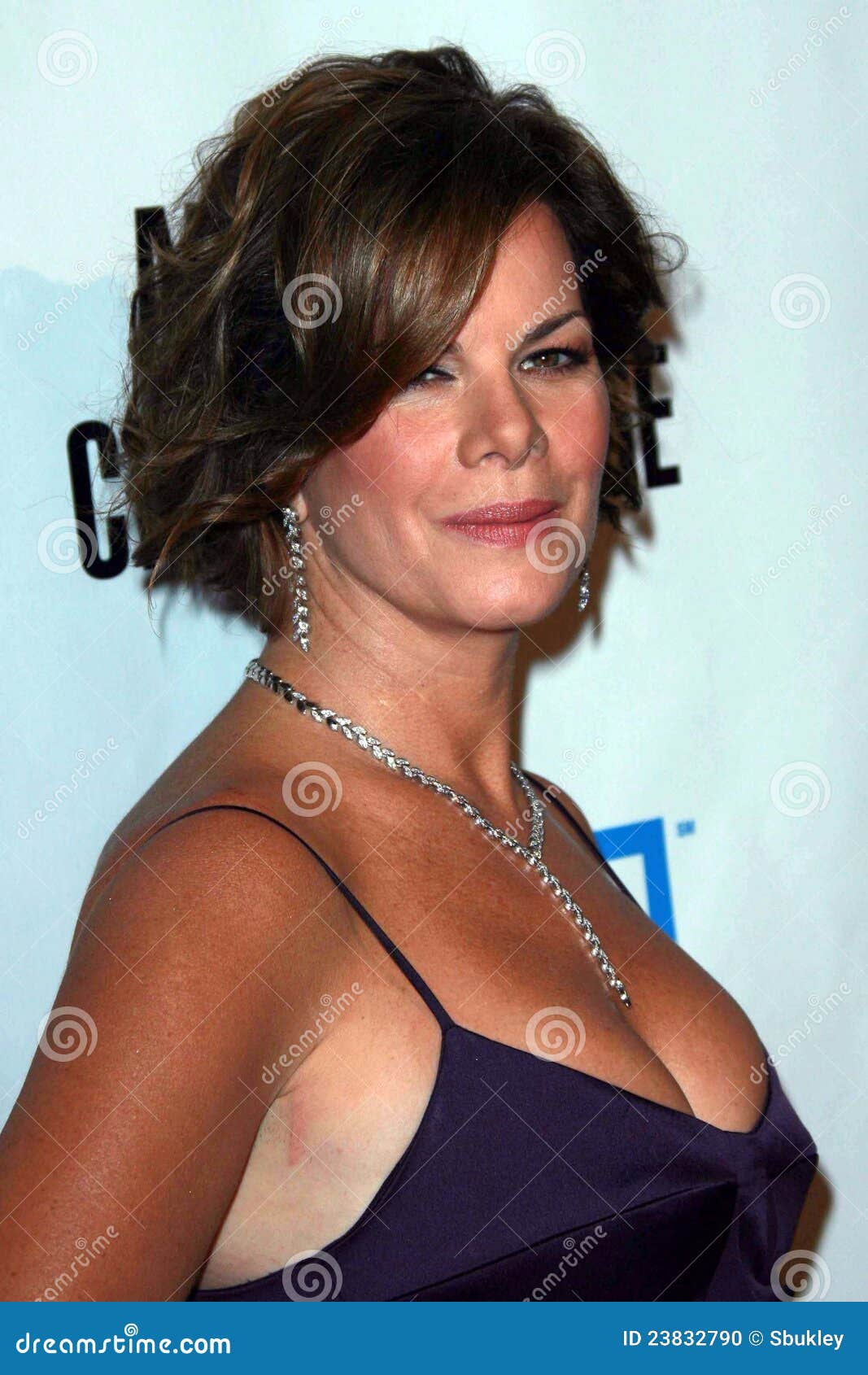 Marcia gay harden boobs