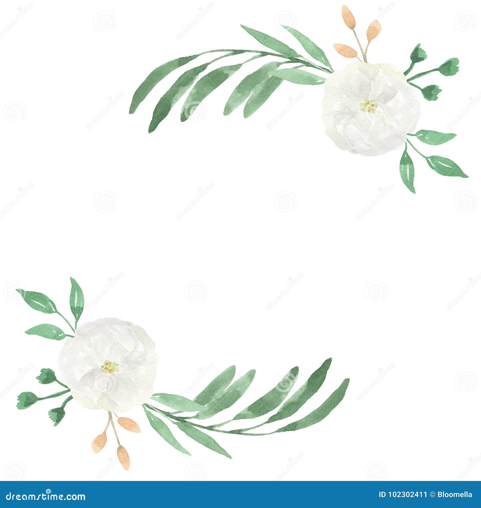 Marco Floral De Las Flores Blancas Del Melocotón De La Boda De La Acuarela  Stock de ilustración - Ilustración de excepto, mejor: 102302411