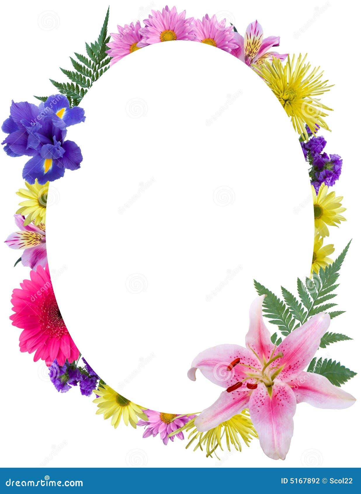 Marco Floral Ovalado foto de archivo. Imagen de boda, aislado - 5167892, image size:1236x1690