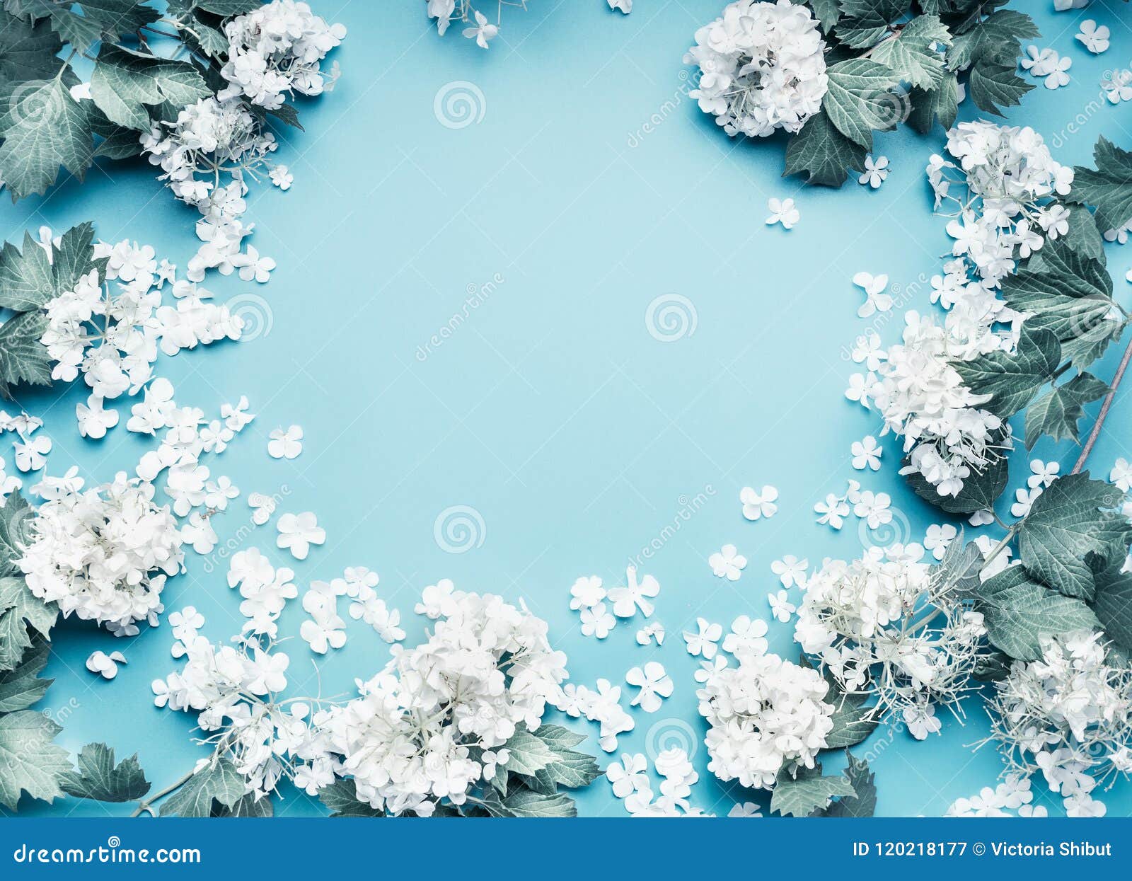 Marco Floreciente De Las Flores En Colores Pastel En Fondo Azul Imagen de archivo - Imagen de boda, flor: 120218177 Marco Floreciente De Las Flores En Colores Pastel En Fondo Azul Imagen de archivo - Imagen de boda, flor: 120218177