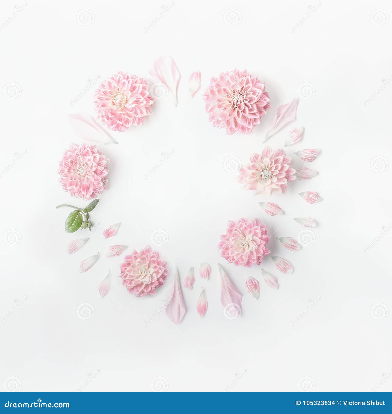 Hermosas Fotos De Rosas Para Descargar Imprimir O Usar En Donde Gustes Libres D Fondos Color Rosa Fondo De Pantalla Rosado Para Iphone Fondos De Flores Rosas