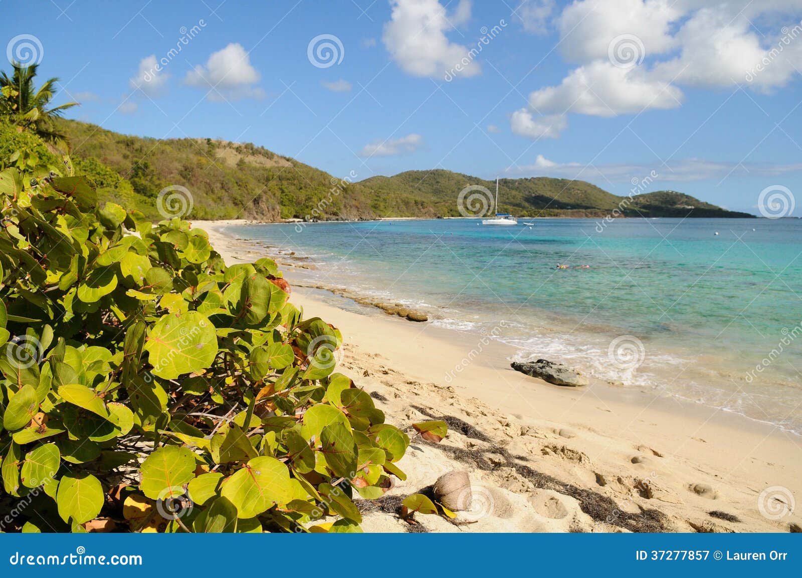 Marco Rosario Beach stock image. Image of green, aqua - 37277857