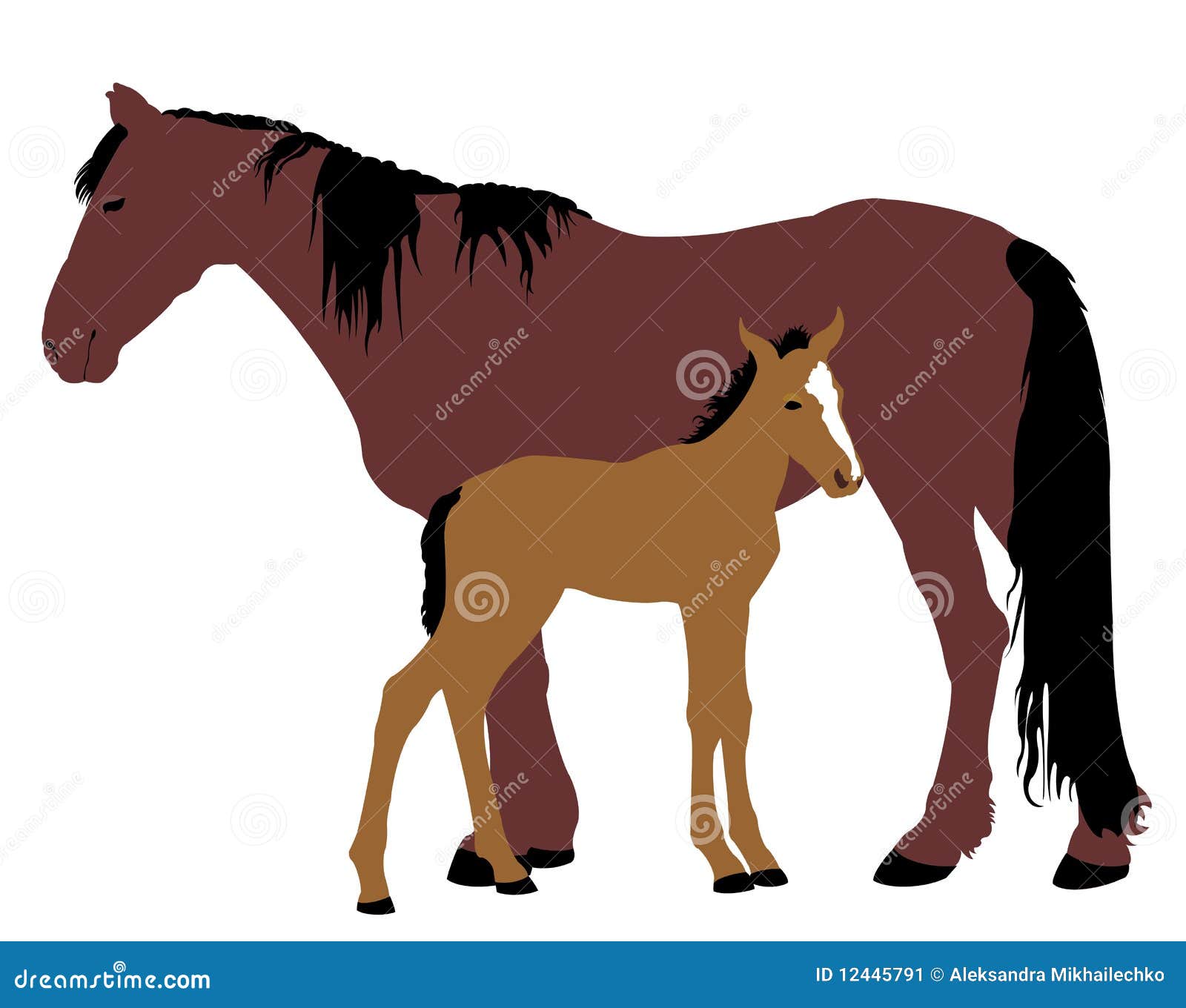 foal clipart