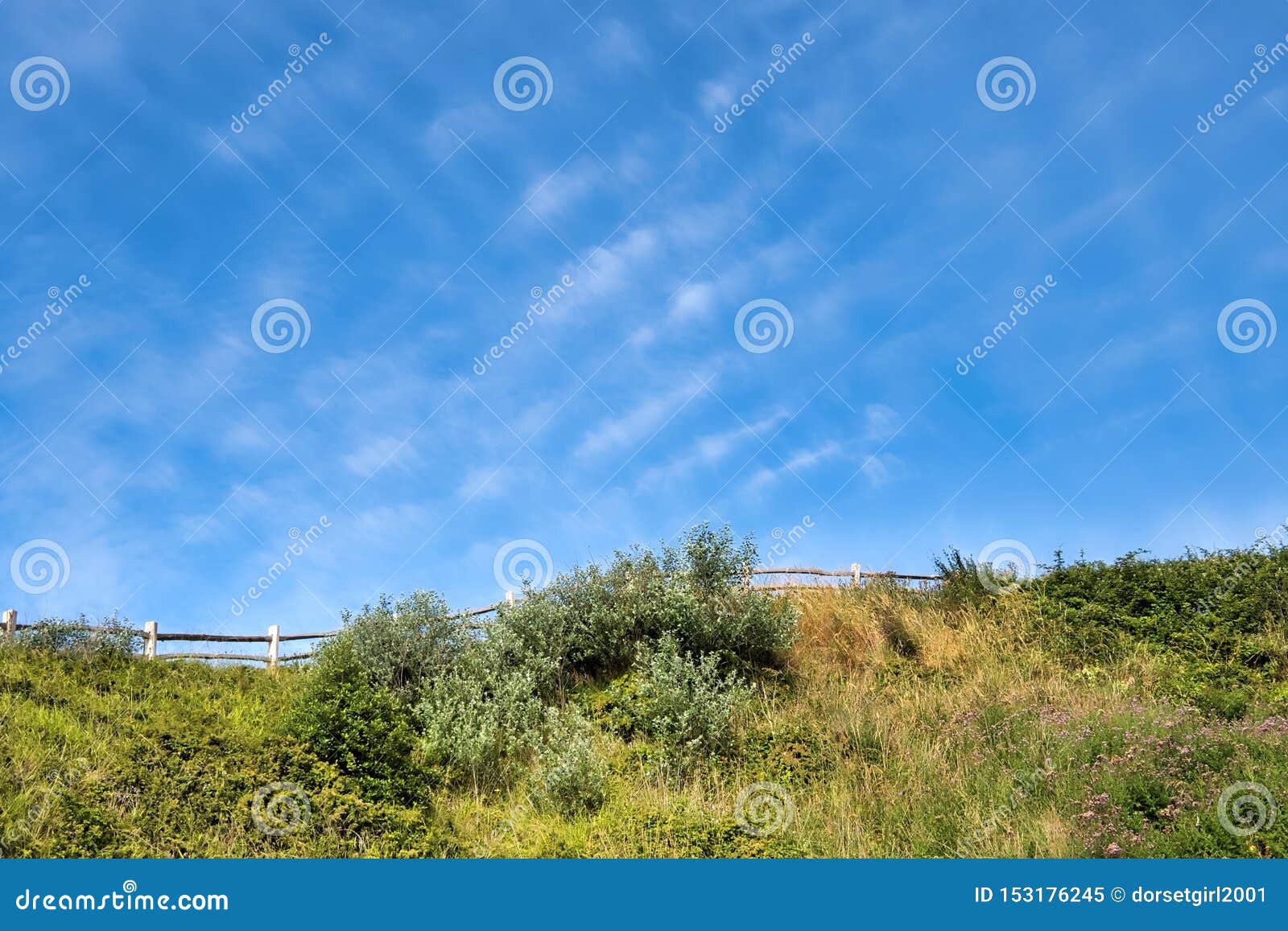 mares tails cirrus uncinus clouds stock image image of occluded summer 153176245