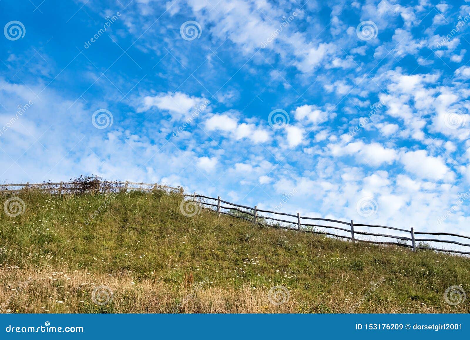 mares tails cirrus uncinus clouds stock image image of cirrus looking 153176209
