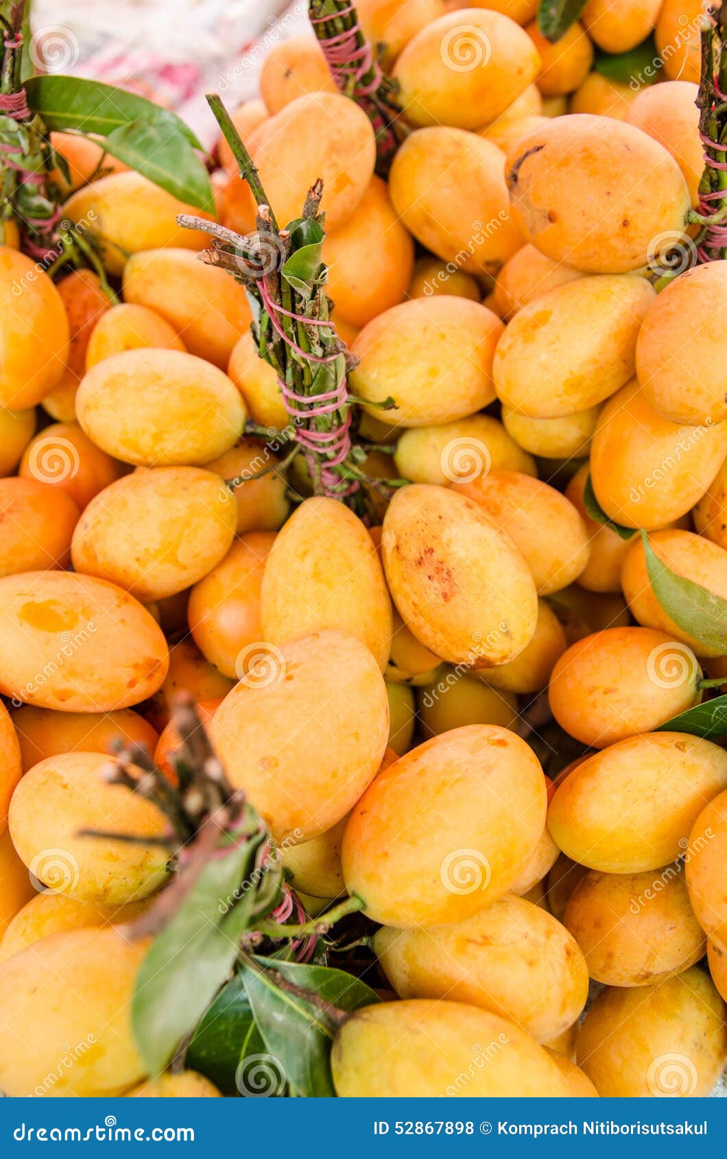 Marian plum fruit stock photo. Image of plant, yellow 52867898