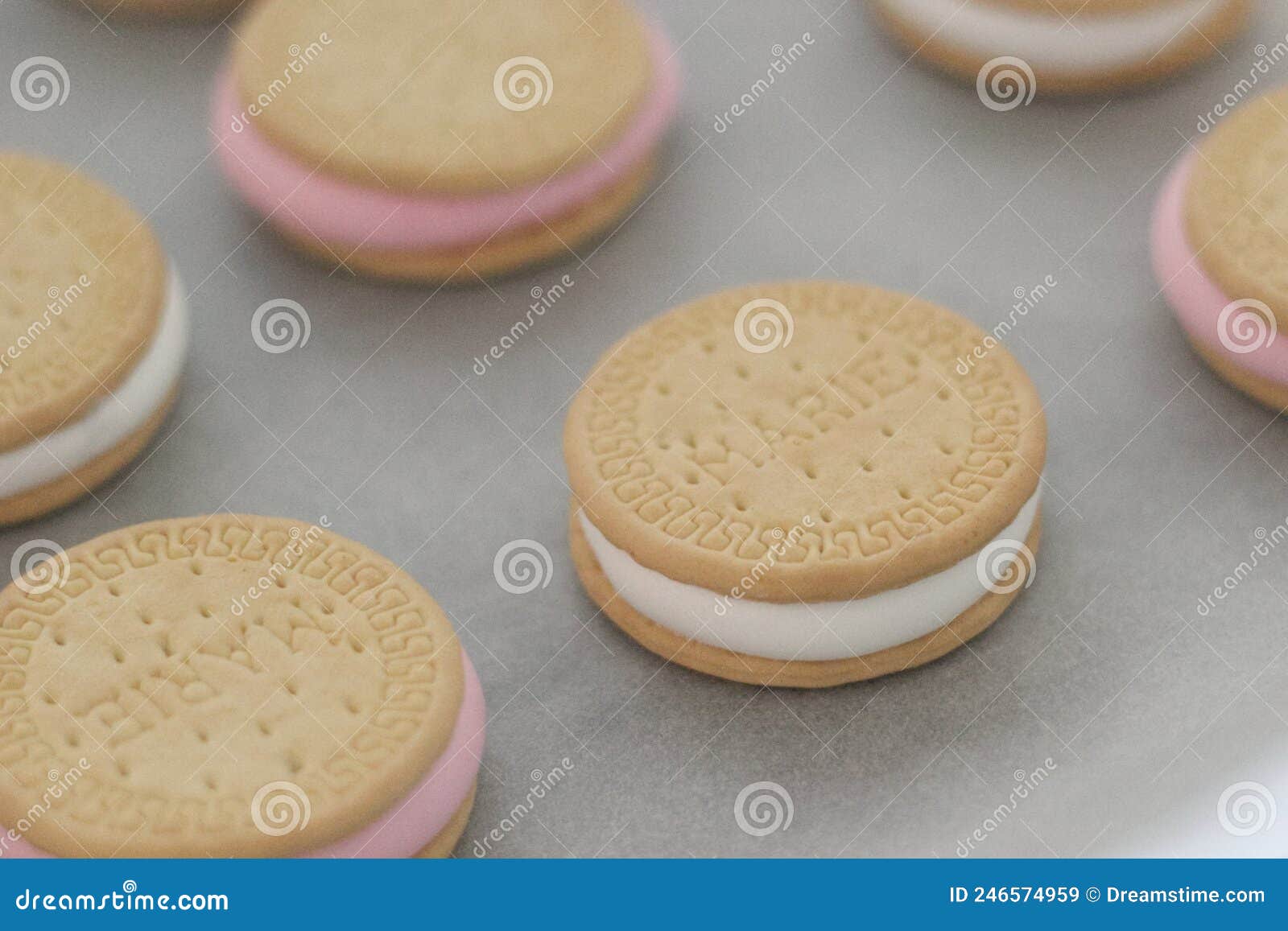 Marie Biscuits with a Marshmallow Stock Image Image of marshmallow, chocolate 246574959